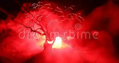 可怕的万圣节树的剪影，可怕的脸在黑暗的雾色调的背景，月亮在背面。 恐怖树与恐怖树